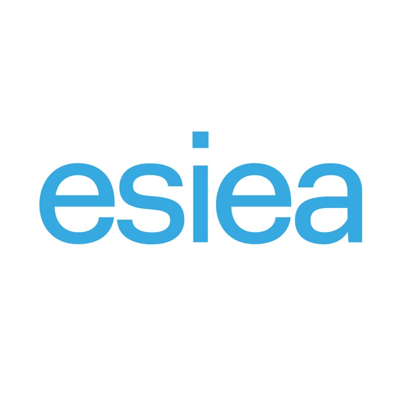 ESIEA — Engineering Degree, Digital Engineering Track